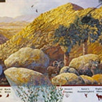 Our Neighbors in Nature II - (replaced #4)